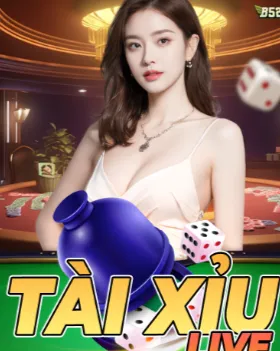 Trang chủ 16 tai